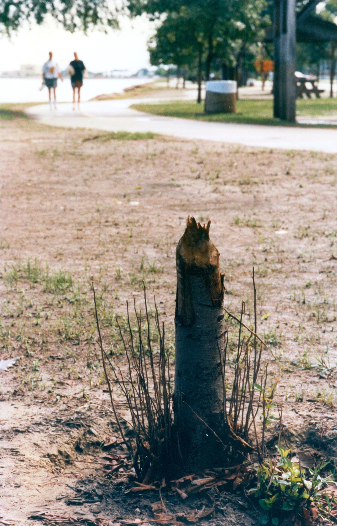 19930819 -- Moline, Illinois